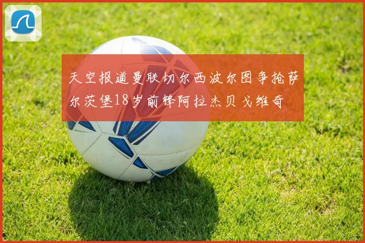 天空报道曼联切尔西波尔图争抢萨尔茨堡18岁前锋阿拉杰贝戈维奇