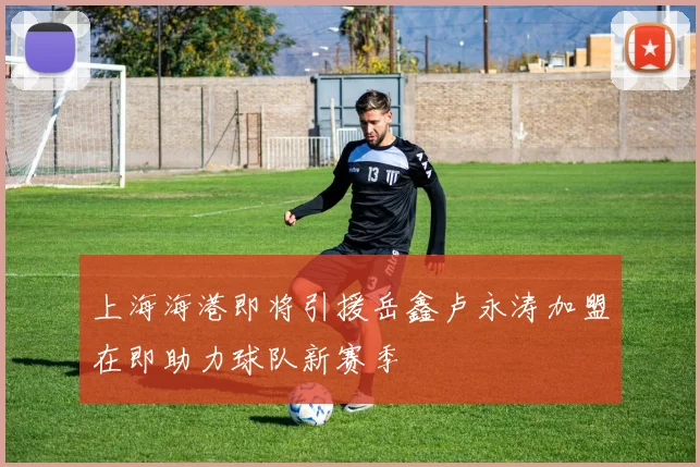 上海海港即将引援岳鑫卢永涛加盟在即助力球队新赛季