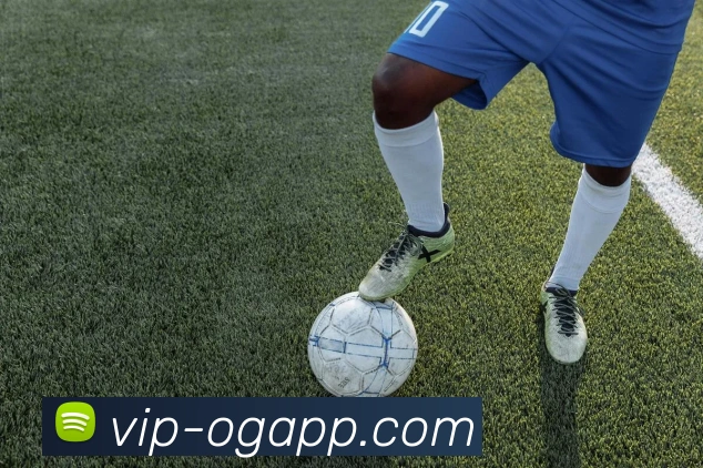 OG真人平台生态图