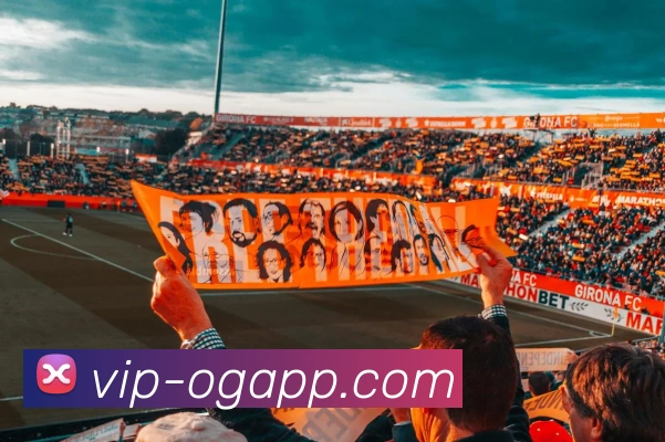 OG真人APP 封面图